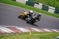 cadwell-no-limits-trackday;cadwell-park;cadwell-park-photographs;cadwell-trackday-photographs;enduro-digital-images;event-digital-images;eventdigitalimages;no-limits-trackdays;peter-wileman-photography;racing-digital-images;trackday-digital-images;trackday-photos